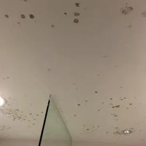 Black spotting in corners, above showers, along cold outside walls.