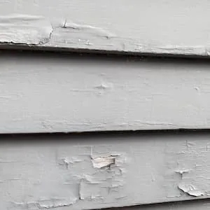 Sheets of coating lifting away, bare grey timber underneath.